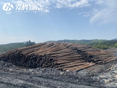 河道打樁為什么選擇松木樁來處理軟地基？-松木樁施工使用范圍